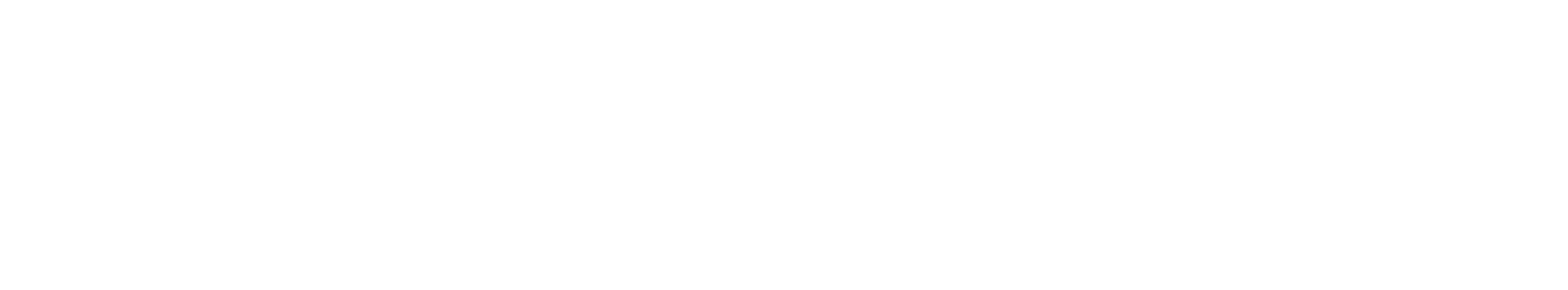 CARCH Solutions
